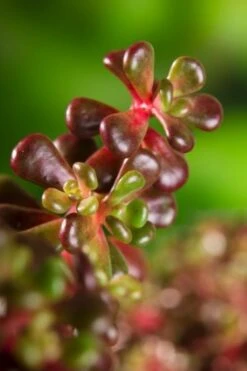 Verse Voor Winkel -Verse Voor Winkel 4CJRR5C7 a44a