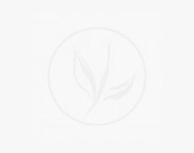 Ajuga Tenorii 'Valfredda' C1 Cm 5 Stuks 3 Ajuga Tenorii 'Valfredda' C1 Cm 5 Stuks