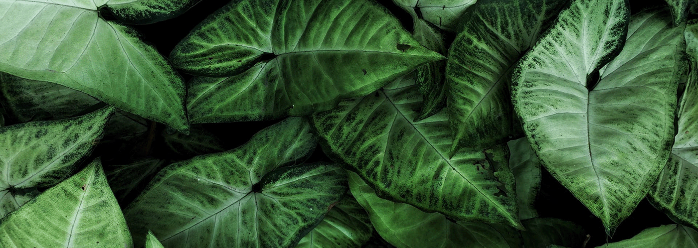 Verse Voor Winkel -Verse Voor Winkel heo 2